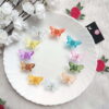 Mini Butterfly Claw