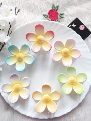 Ombre Daisy Floral Claw