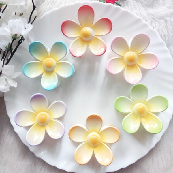 Ombre Daisy Floral Claw