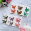 Butterfly Combo Clip Card